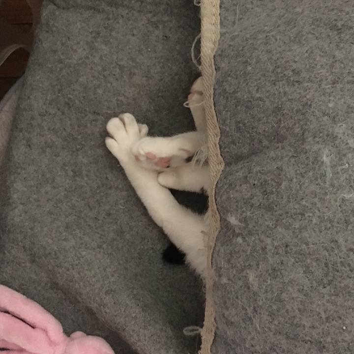 688fa616 199e 4ee0 8591 3b136236bb3d 1561685797888