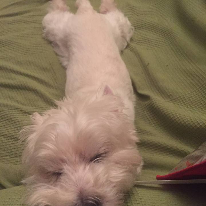 688fafd7 fe67 4e96 af76 4d1f5f58498b 1529772548071