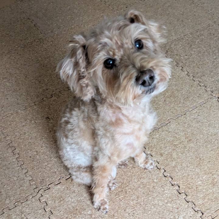 68901a33 a2a0 4a15 8b9c bb65a346b246 1765230196908