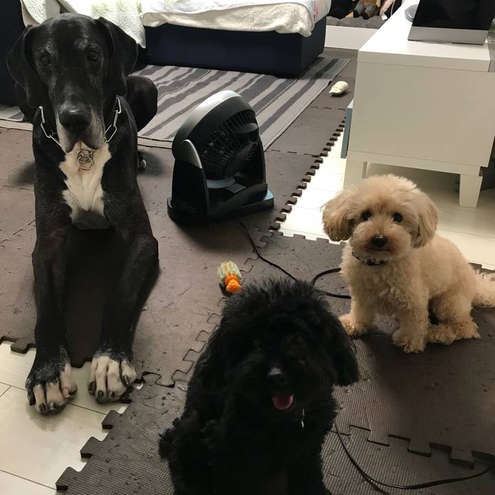 689021f3 be9b 4b75 b03e 4d09ce29d4bf 1536618709642