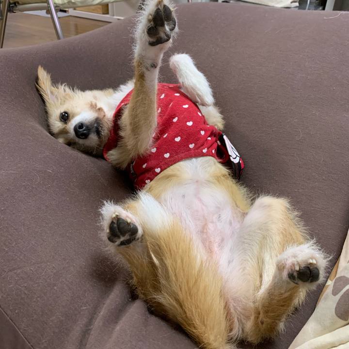 689045cf 1103 4605 8551 0776f316fd16 1643444920556