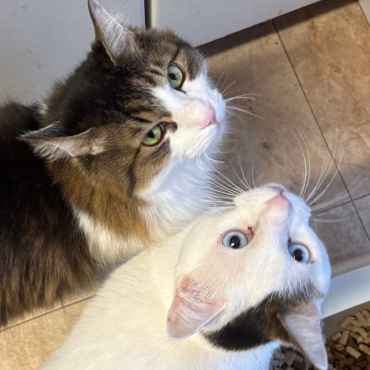 689079d7 7224 4451 a2bc b84f2d001223 1768517190745