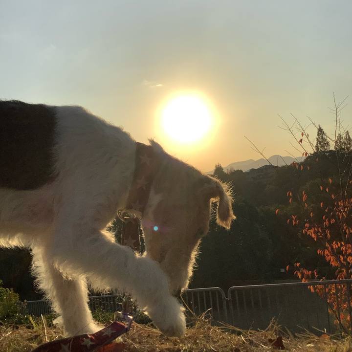 689099e7 d93b 4d34 b6ed b7e36d89178c 1763112601396