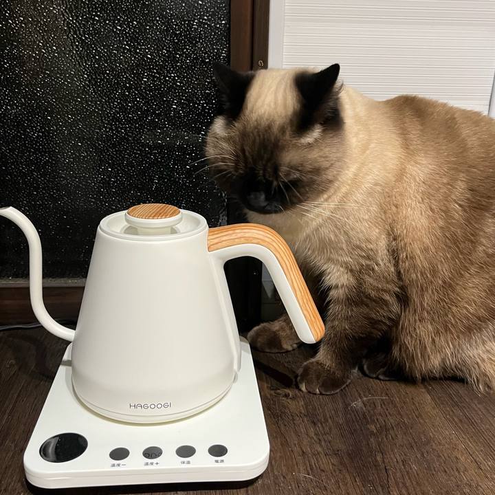 6890bf18 17f2 4fe9 947e 71a85d3c7902 1640952322204