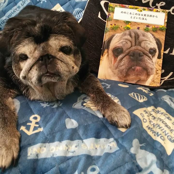 6890e699 ae2f 4ffa a19f d39a9db8c109 1559619713658