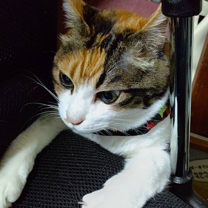 6890f518 4764 40df b11f 6aa5a3b4b7c7 1649849133470