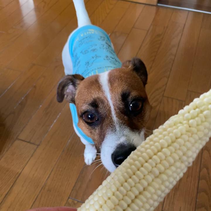 6891085e 61db 433e 83f2 ab2c2f27ba83 1629343913409