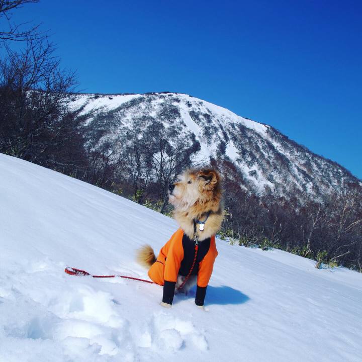 68913285 982c 4591 851c fa3b98c7e944 1613922969680