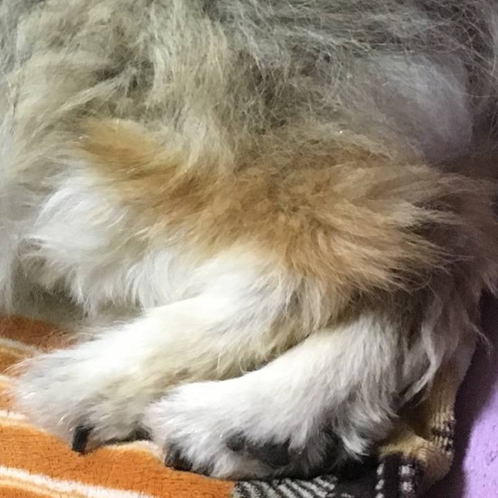 68914547 003a 4680 a0d4 fb53b5119323 1568605131133