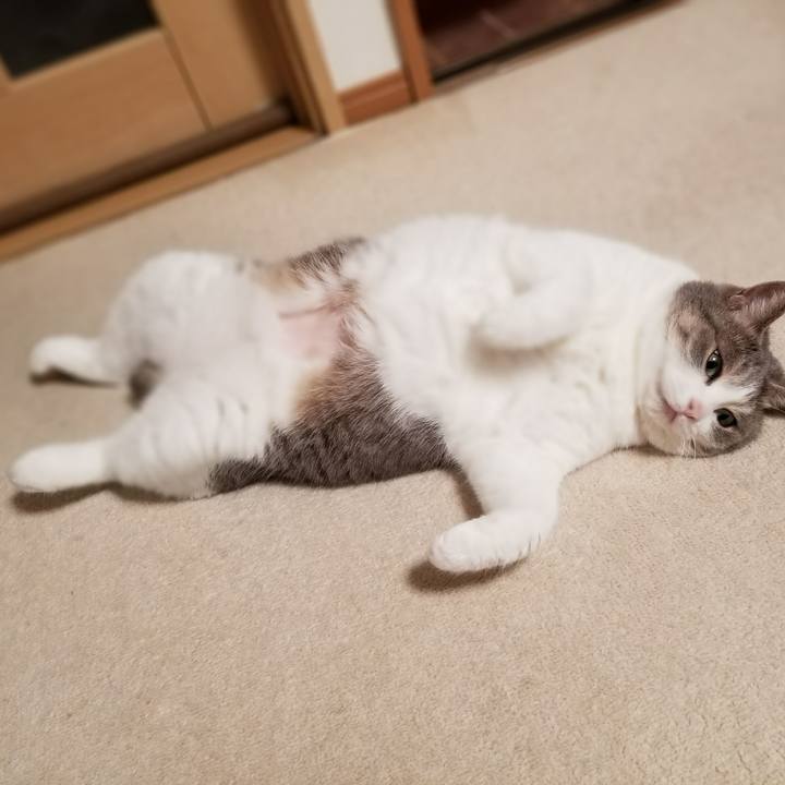 68916d44 2d2b 40a1 93d9 b97e9559486a 1631519671636