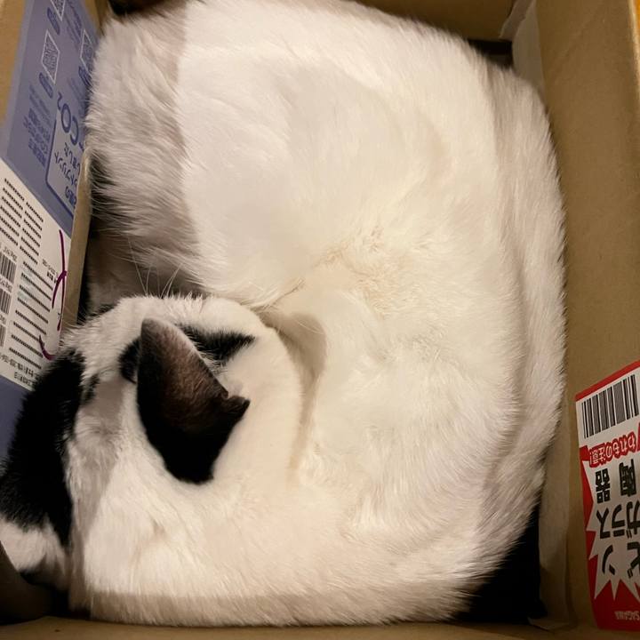 689186f4 cd1d 4401 93a9 bf7bd62354f8 1766699254437