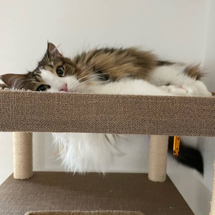 68918719 1aab 4fac b590 8bafc2a37a0e 1682460347492