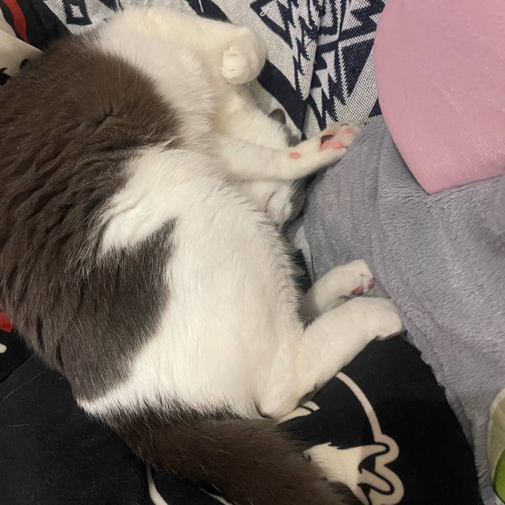 6891d25f 470c 4a68 ac3c 838cfd8ec4fe 1694873435537