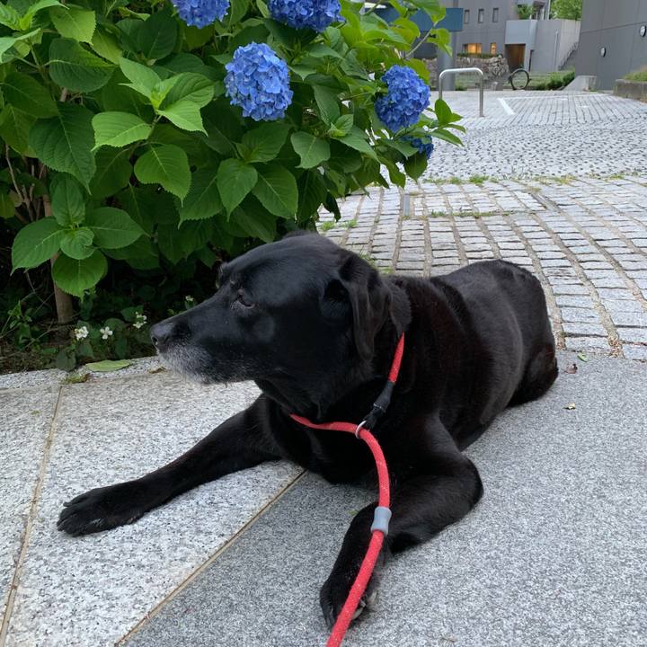 6891e6bc 3b04 427f 80b9 8cc49bd0ec31 1559215397116