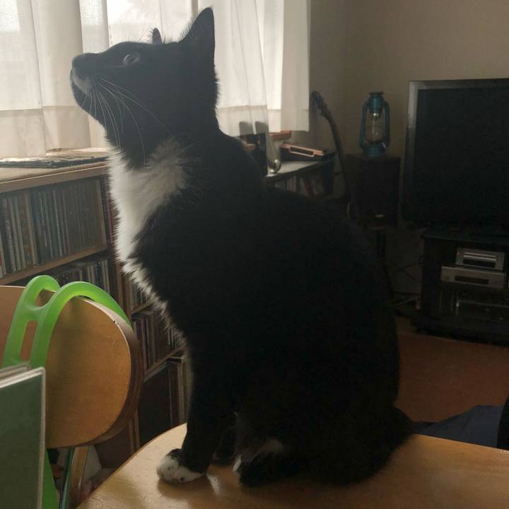 6892371e 334b 4634 8a7b fcd09323efbd 1663299369035