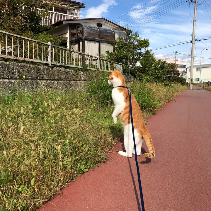 689283a9 f6b1 4d19 be6c dae8f04d9cd5 1539329940332