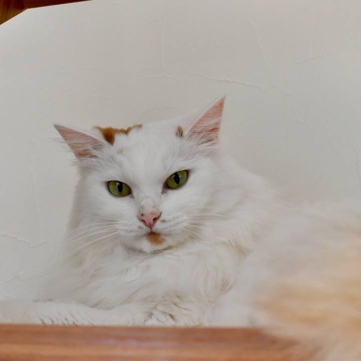 68928a0a 6f91 4698 8f34 34f84abafe47 1761958577158