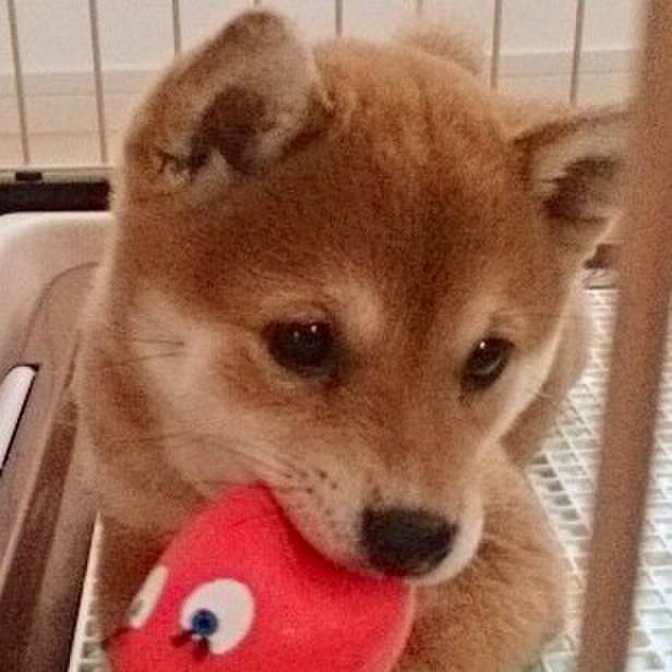 6892a6df 32b2 457d acad 16d4ec40f901 1571658337833