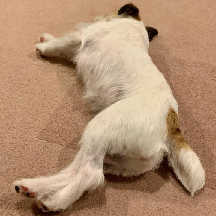 68930bc3 77a9 4517 b2fa edadbef7e00a 1684678524221