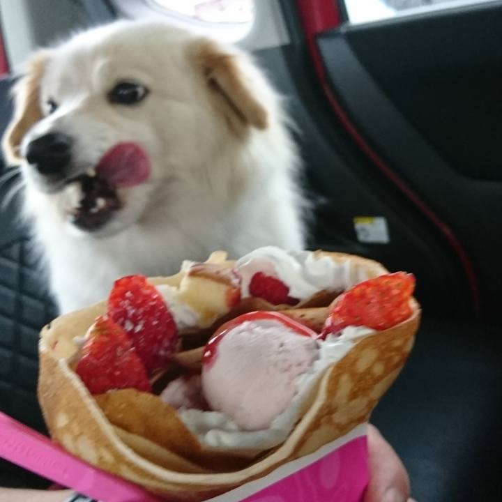 689345eb e172 42d3 8399 7b9b7681e7f7 1524561232821