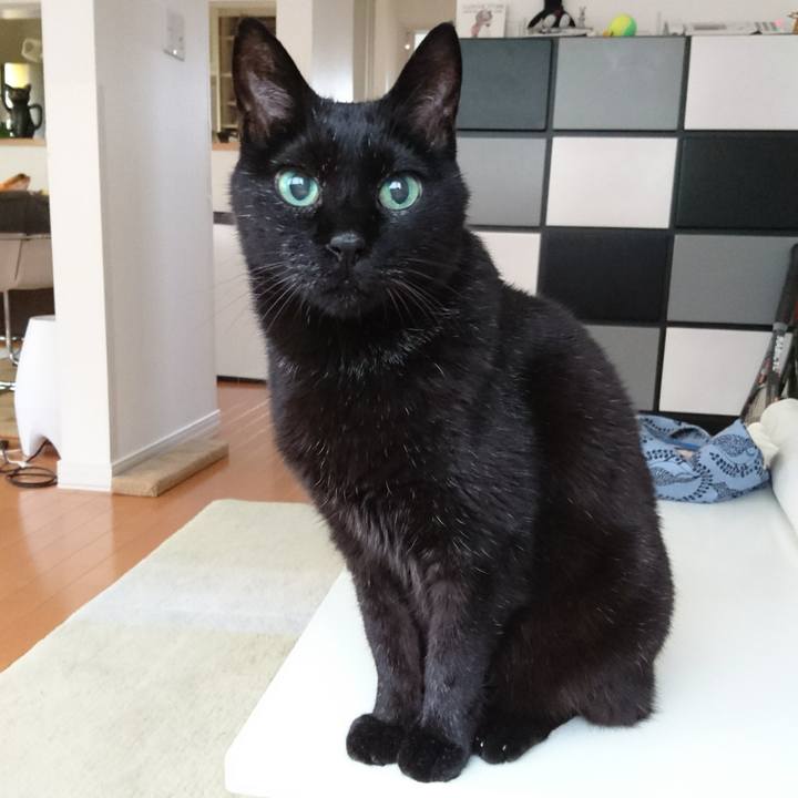 68936dc9 bb2e 4332 be18 f8953c2d7faf 1560242614003