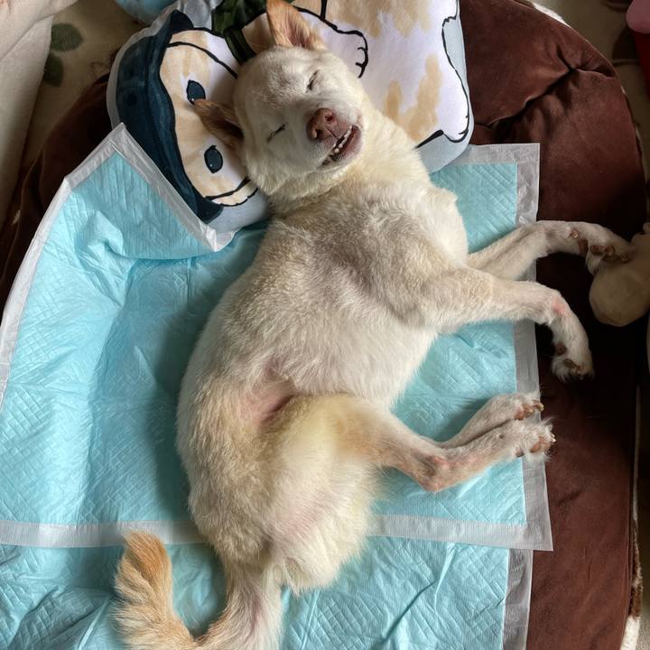 6893da0b 3287 495e 9dd7 2d63663fda59 1680656797071