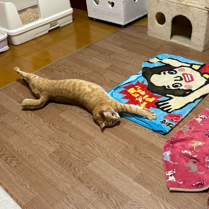 6893e070 52cc 491a 9405 141c546f4991 1670559361784