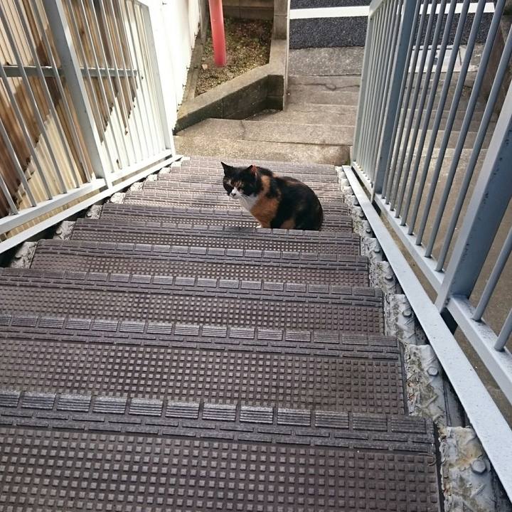 6893e9ee 2e0d 4295 bf05 71cd88b82bb8 1518317436568