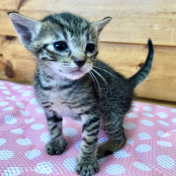 68941887 1cde 4a94 841f 2a100434f5a2 1615703744114