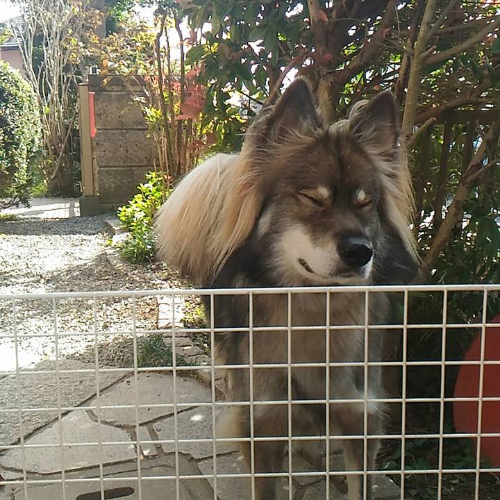 689465fc ce71 4715 892a 5d0abf000fb7 1509707010811