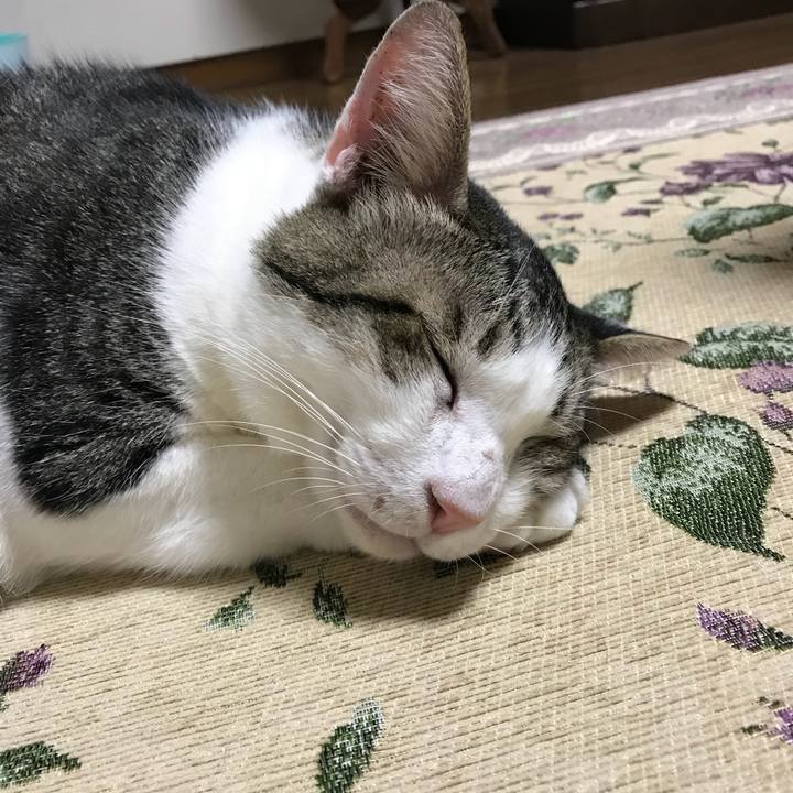 68948332 d3d0 45a2 9067 2476de01861b 1535526941694