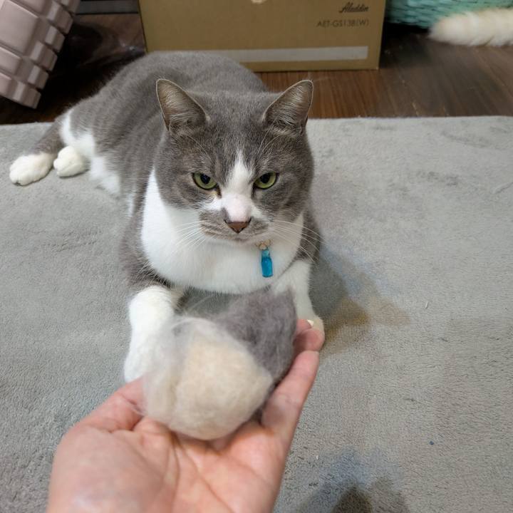 6894980e 117f 4399 9038 b6fc1ad31617 1744117879317