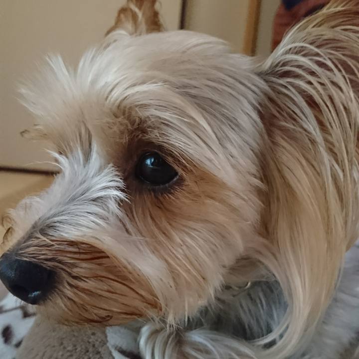 68953061 6bb1 4c76 aa49 727bb94b4e50 1535669538347