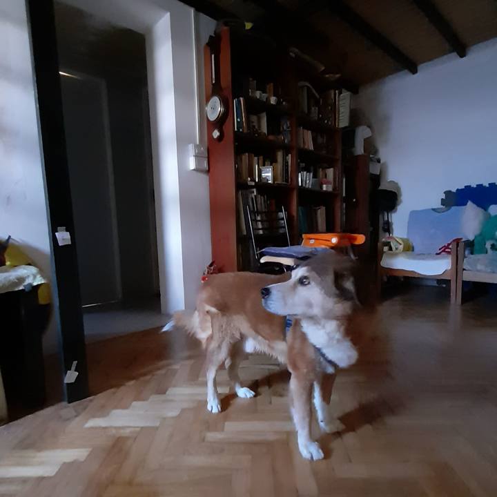 689561bd eae8 4796 9983 70375c19e7ec 1751507394737