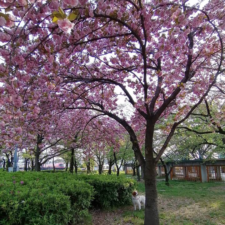 68957ff5 ac12 4019 b3f3 9dbcee202ae0 1617968402691