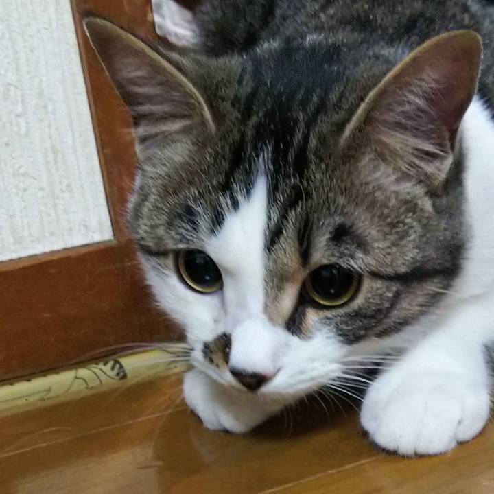 6895816a ab01 45bc 997c 1f853927cfdd 1616163813383