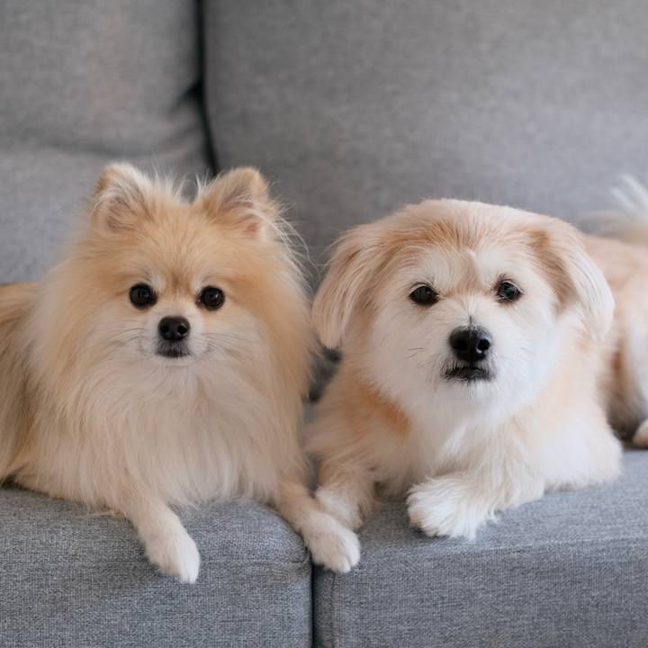 68959286 dfc0 4938 b728 8f3243f38160 1762294198280