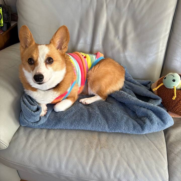 68959651 13f1 4d25 b37a e4165d6abda3 1773455114999