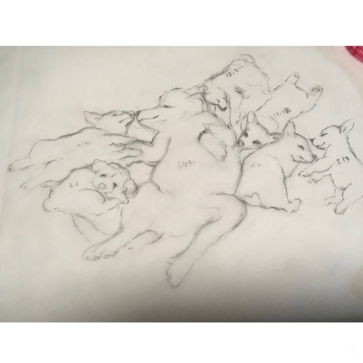 68959cc7 fe42 4ef2 a9cf 970e7543a36d 1610983651444