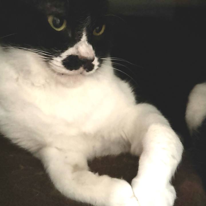 6895bc9a 9a54 481e bfc5 ea6b88837206 1759099589246