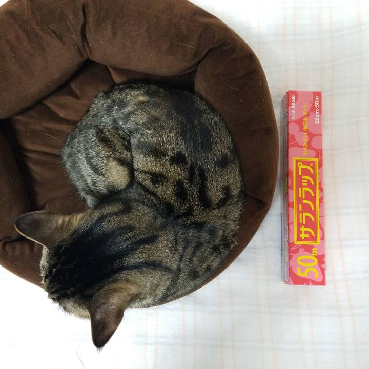 6895c587 d702 456a 8277 f9aa9d5a83e8 1585258259878