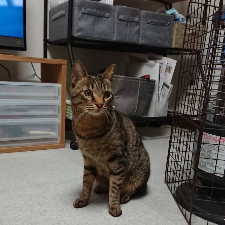 6895cd47 3d8e 46ba af4b 8d31477c5ea8 1511616105440