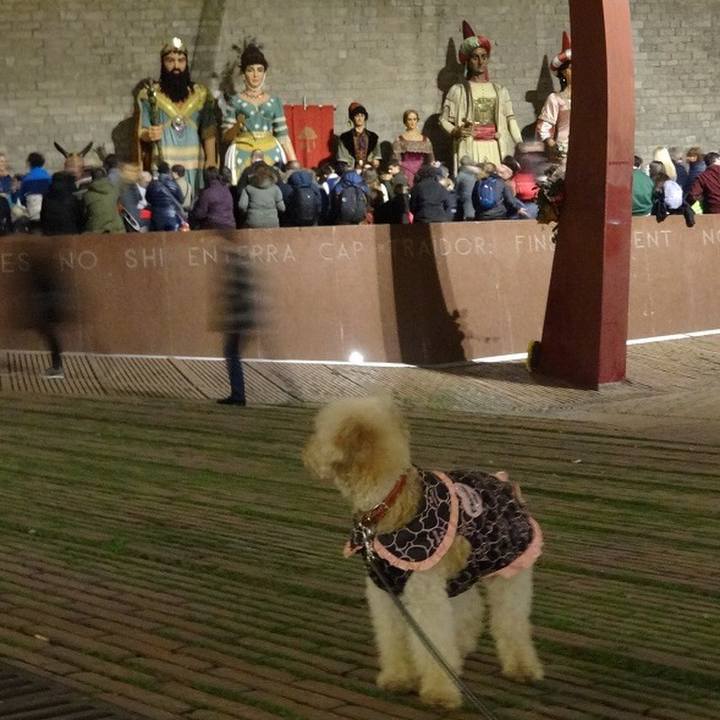 6895f36f 5893 4f51 a49d ba094ddad0d9 1515958711168