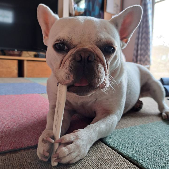 6895f6f9 8647 41a4 90fe 7ff0baafea88 1696327564669