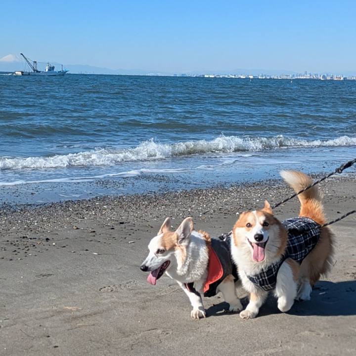 689607d2 9af1 4044 b1df f7e9c629f557 1768391771144