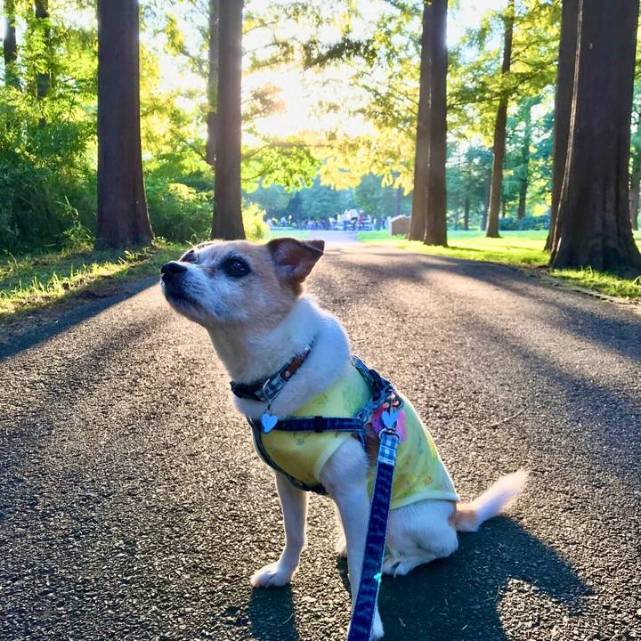 68960df1 8060 4ae9 91dc a95b3bb10a9c 1633862115821