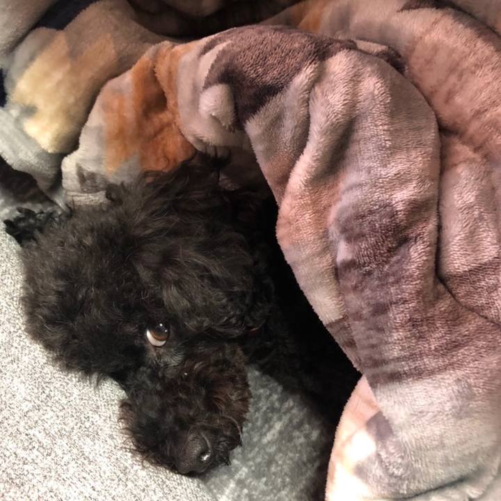 68964986 99bf 4b25 ad72 c335a3633a97 1609326518855