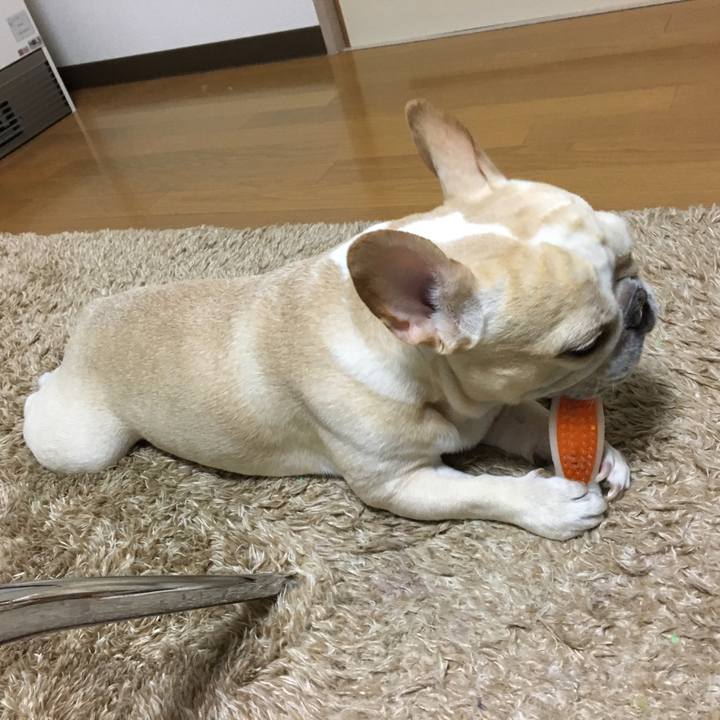 6896827b a7ec 4627 bf34 c57327c4cc01 1511789722239