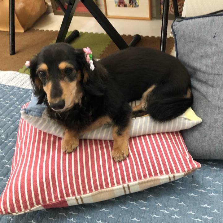 6896a1d9 e860 47b7 9a15 845659c234d9 1561244974673