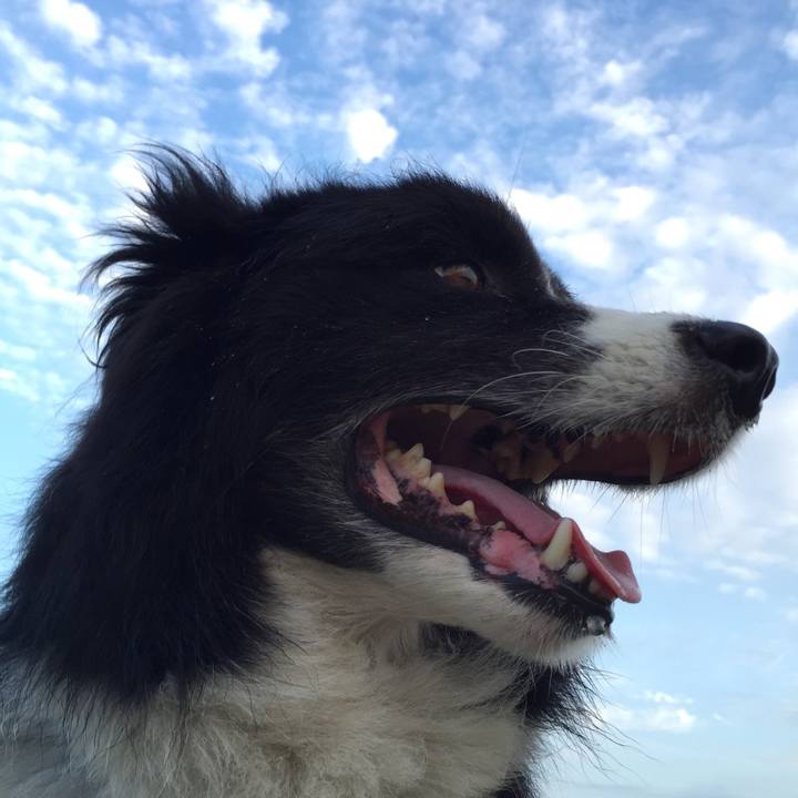 6896a510 3c35 4ada bef8 db73d1640a1d 1532293175828